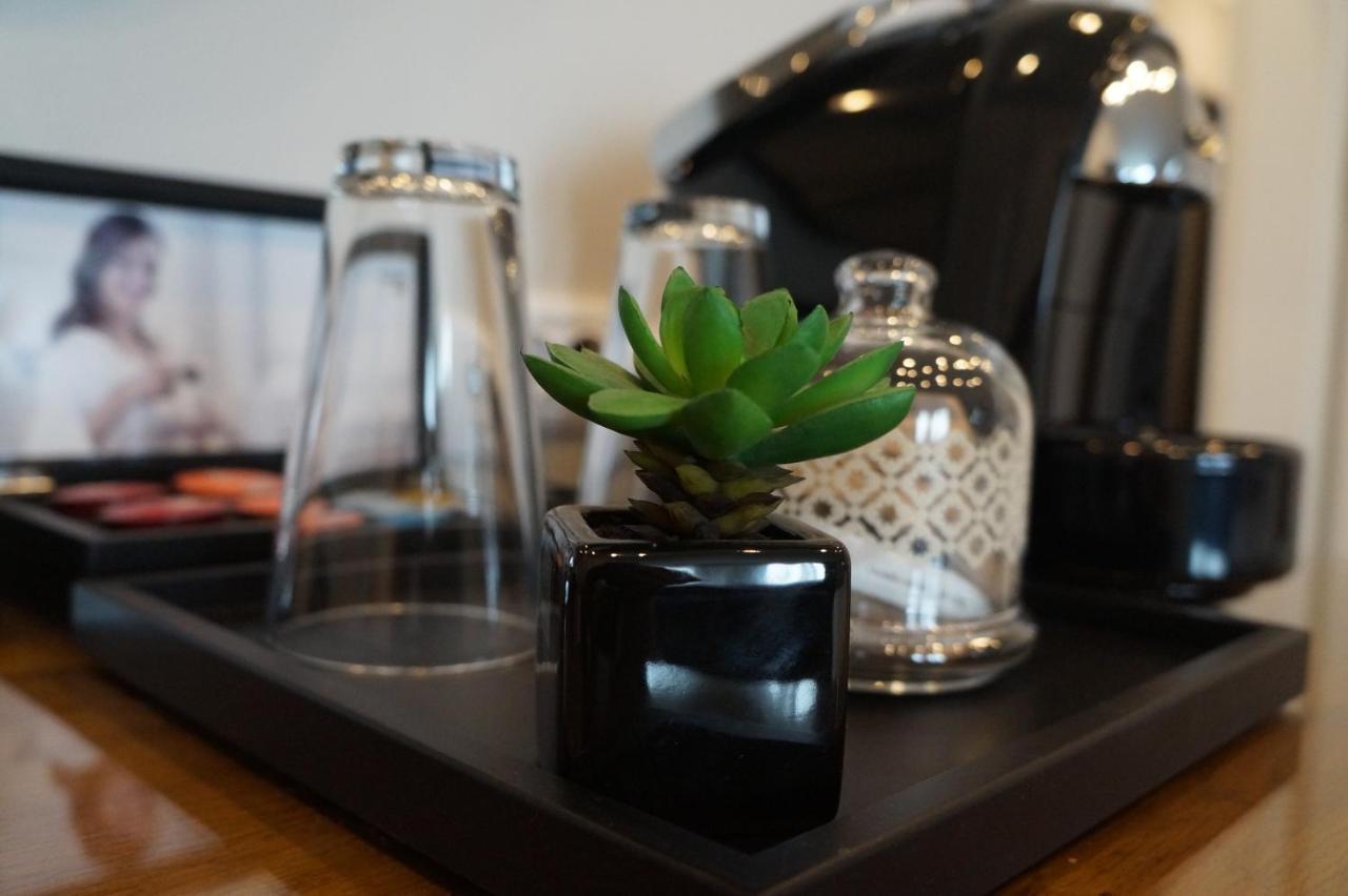 Hotel Residence Promenade Burgas Exterior photo A succulent plant in a hotel room